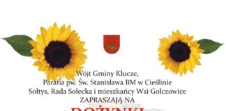 dozynki 2014 plakat