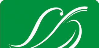 gospodarka niskoemisyjna