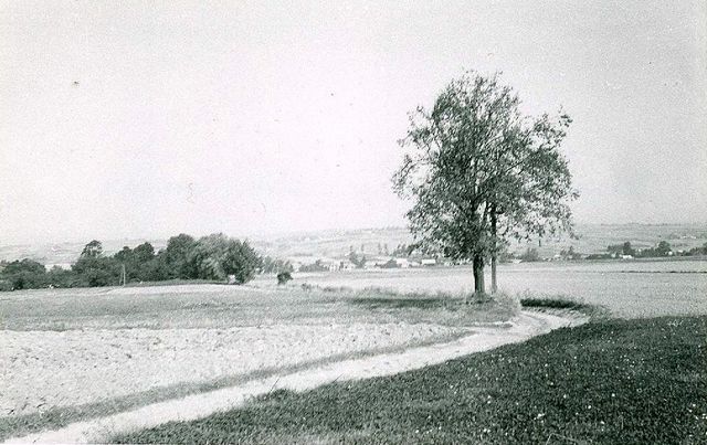 jangrot krzyż obok miejsca potyczki 12 V 1794 r zdjęcie z 1989 r