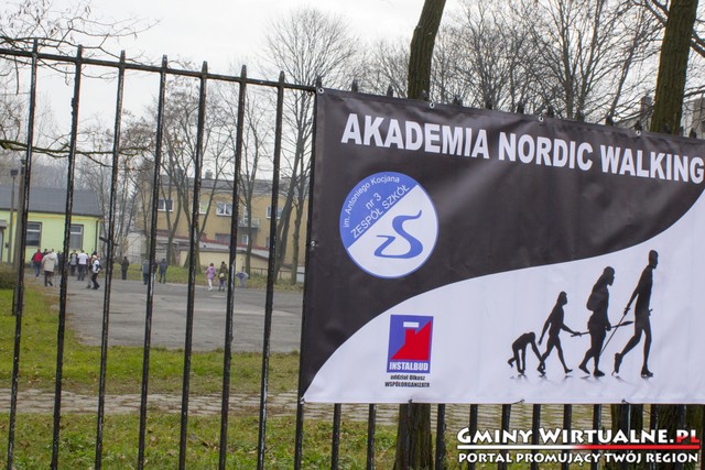 nordic walking logo