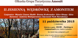 amonit jesienna2015 2