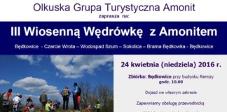 amonit wiosna2016