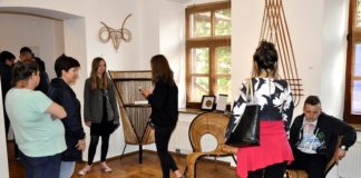 zwiedzanie stalej kolekcji