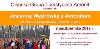 jesienna wedrówka z amonitem