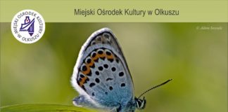 mok wystawa piekno natury plakat