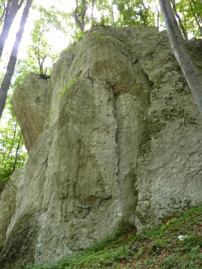 Widok na fantazyjne kształty skał wapiennych w Zubowych Skałach. fot