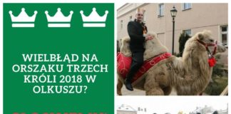 orszak trzech króli wielbłąd