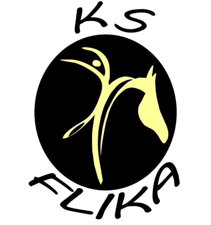 flika logo