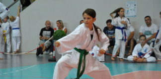 karate 1