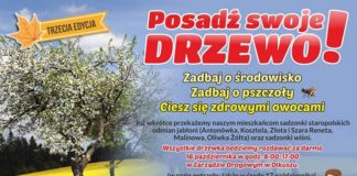 drzewka 2018