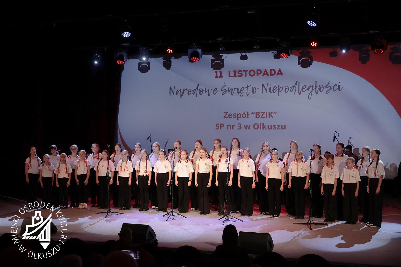 Olkuszanie dla Niepodległej