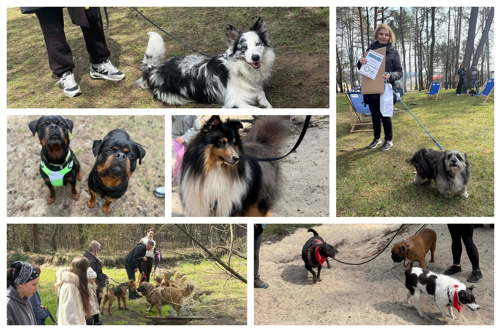 PsieMarsz znów przeszedł ulicami Bukowna