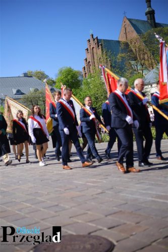 IMG 9218 (Large)