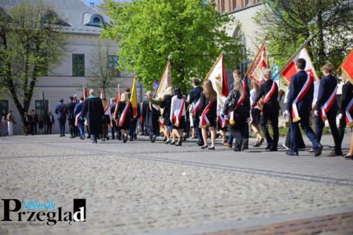 IMG 9234 (Large)