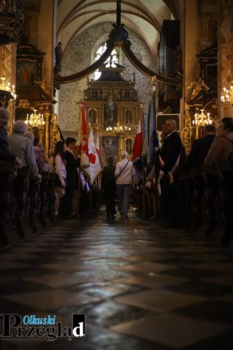 IMG 9260 (Large)