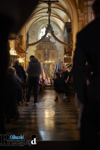 IMG 9336 (Large)