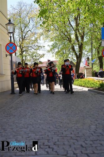 IMG 9381 (Large)