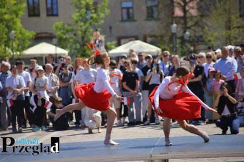 IMG 9464 (Large)
