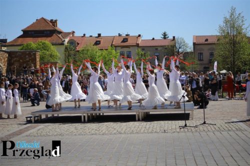 IMG 9493 (Large)