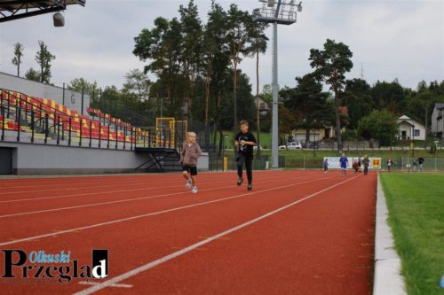 IMG 9841 (Large)