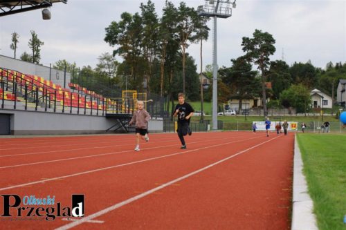 IMG 9842 (Large)