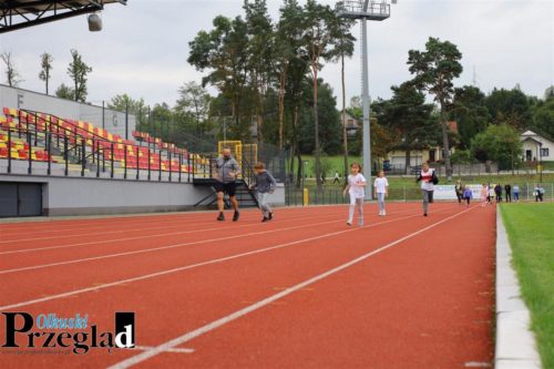 IMG 9848 (Large)
