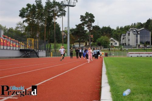 IMG 9851 (Large)