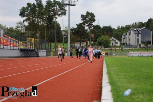IMG 9852 (Large)