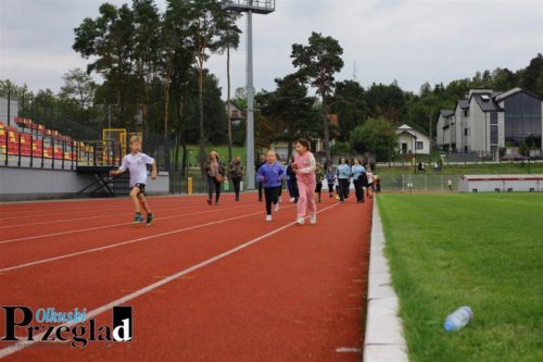 IMG 9854 (Large)