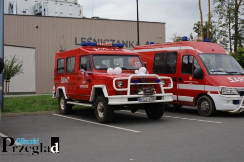 IMG 9878 (Large)