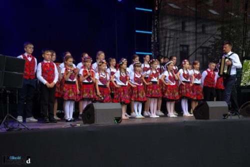 IMG 0174 (Large)