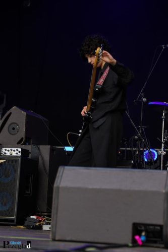 IMG 0379 (Large)