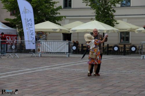 IMG 0392 (Large)
