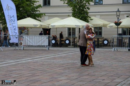 IMG 0395 (Large)