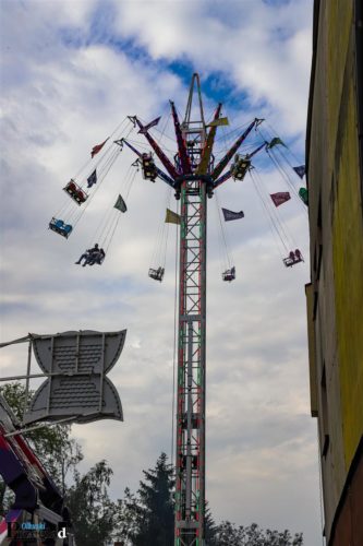 IMG 0581 (Large)