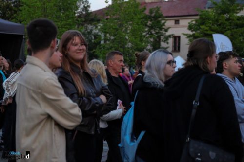 IMG 0815 (Large)