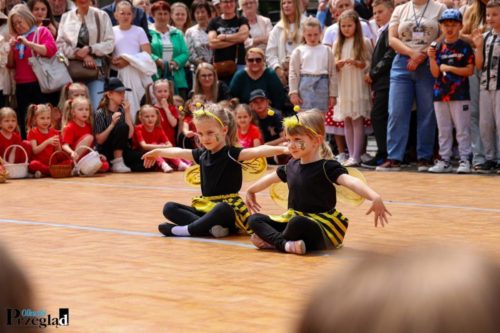 IMG 1336 (Large)