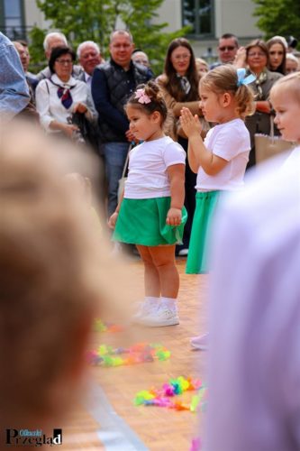 IMG 1709 (Large)