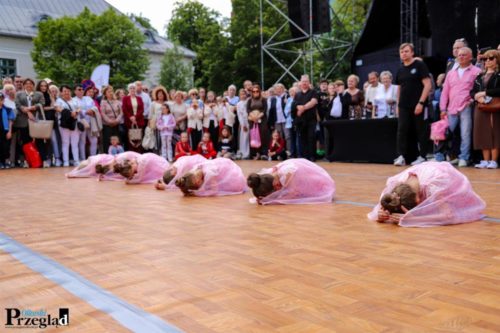 IMG 1806 (Large)