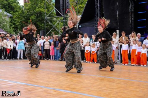 IMG 2039 (Large)