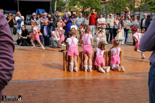 IMG 2704 (Large)