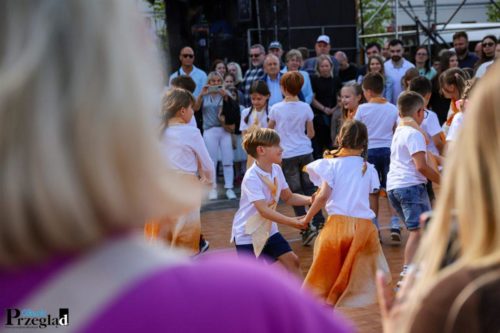 IMG 2737 (Large)