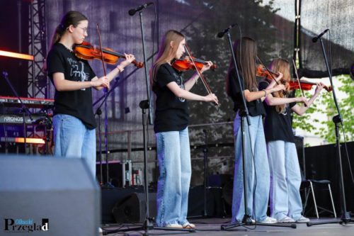 IMG 2937 (Large)
