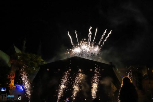IMG 4054 (Large)