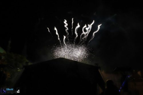 IMG 4073 (Large)