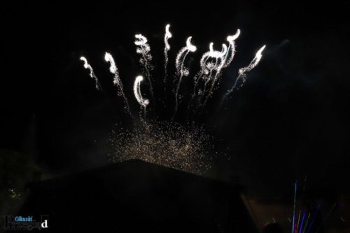 IMG 4074 (Large)