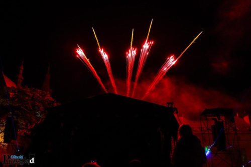 IMG 4239 (Large)