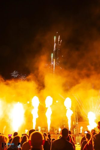 IMG 4314 (Large)