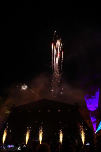 IMG 4324 (Large)