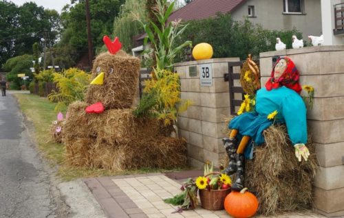 Dożynki Domaniewice 03 